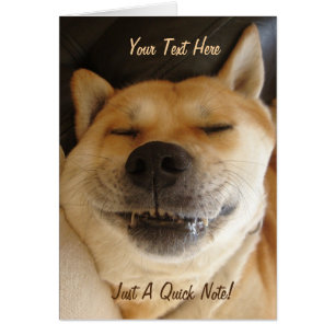 funny japanese akita with goofy smile photo cards