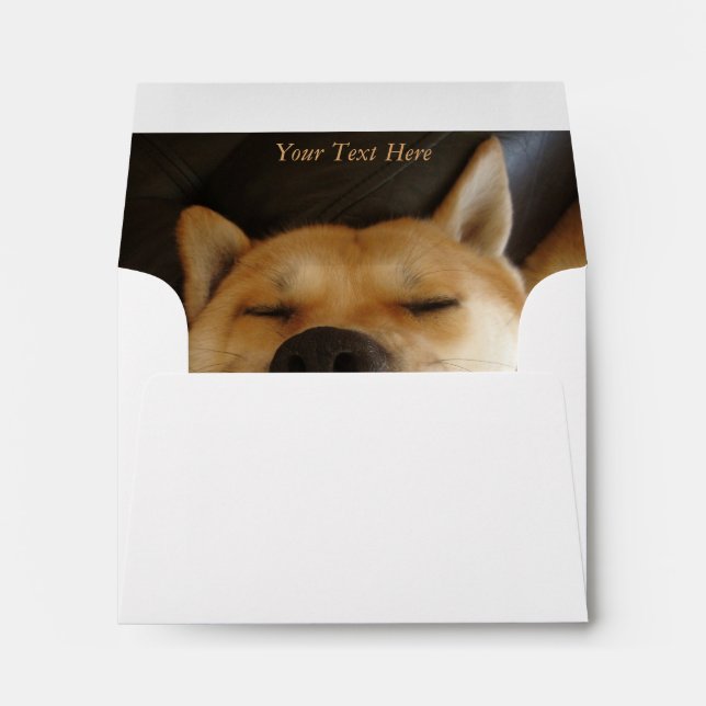 funny japanese akita with goofy smile photo envelope (Back (Bottom))