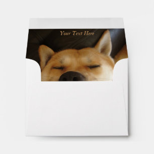 funny japanese akita with goofy smile photo envelope