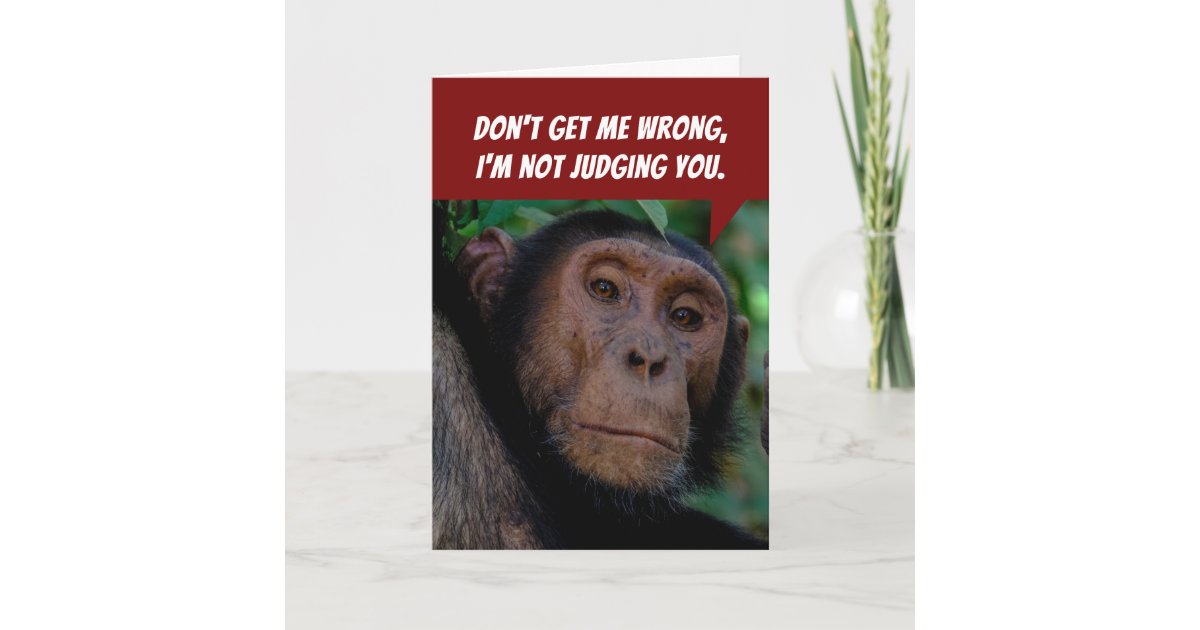 Funny Judgemental Monkey- Mocking You Birthday Card 