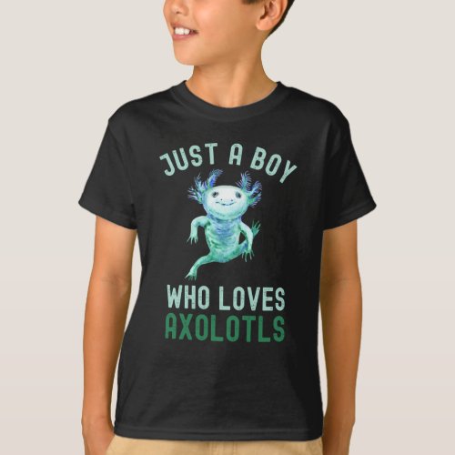 FunnyJust A Boy Who Loves AxolotlsCute T_Shirt
