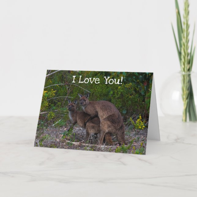 Funny Kangaroo I Love You Card (Front)