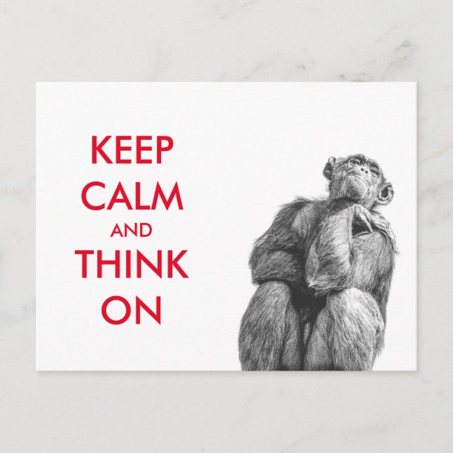 Funny Keep Calm and Think On Chimpanzee Postcard (Front)