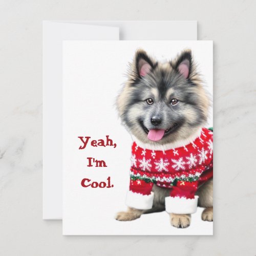 Funny Keeshond in Christmas Sweater Holiday Card