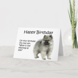 Funny Keeshond Puppy Birthday Card