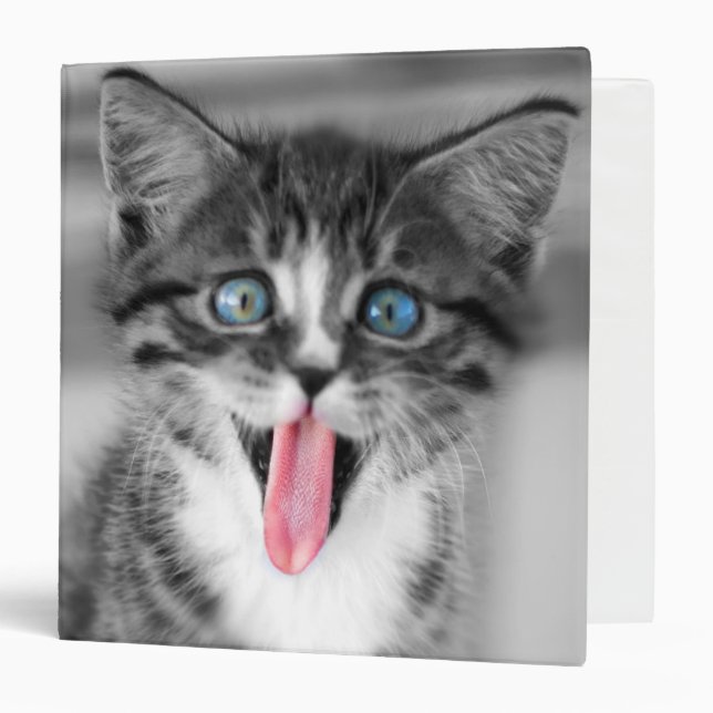 Funny Kitten 3 Ring Binder (Front/Inside)