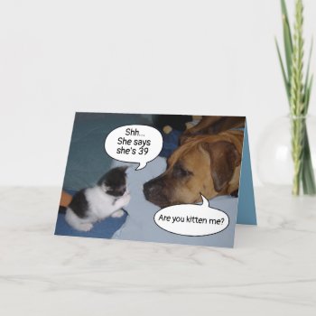 Funny Kitten And Dog 39th Birthday Aging Cat Woman Card by alinaspencil at Zazzle