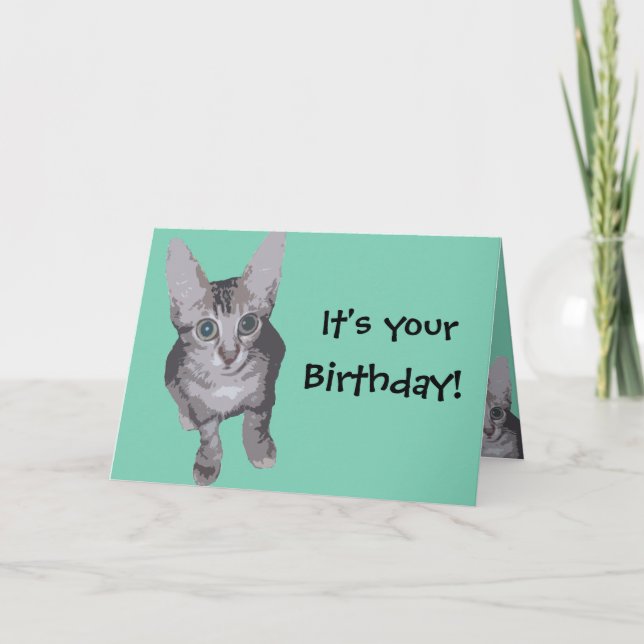 Funny Kitten Birthday Card (Front)