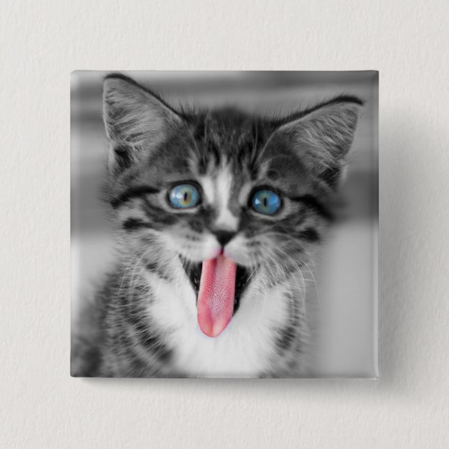 Funny Kitten Button (Front)