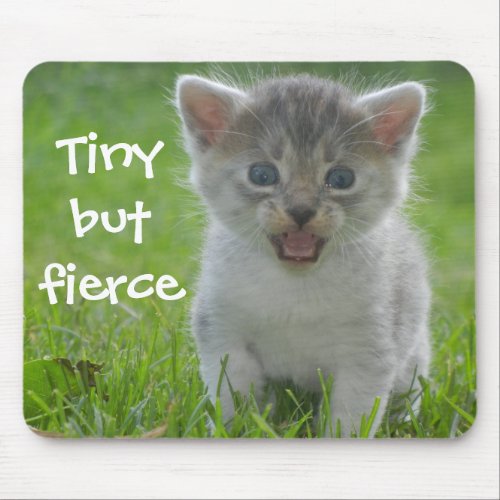 Funny Kitten Caption Tiny but Fierce Mouse Pad