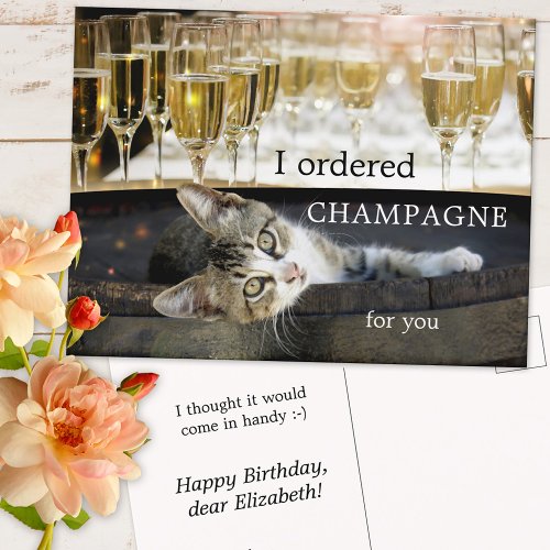 Funny Kitten Cheers Birthday Postcard