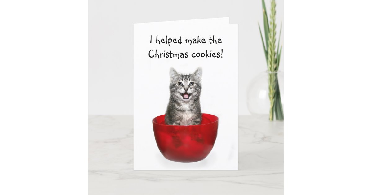 Funny kitten Christmas card Zazzle