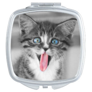 Funny Kitten Compact Mirror