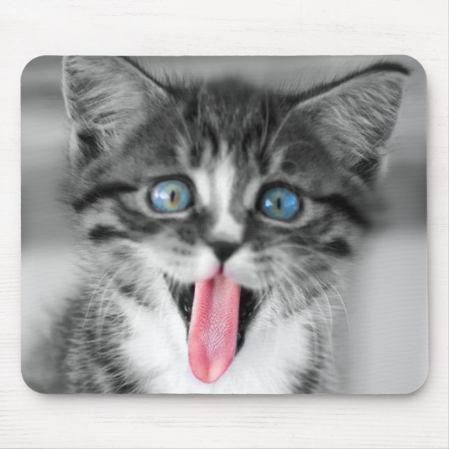 Funny Kitten Mouse Pad (Front)