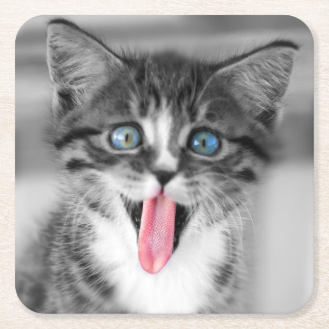 Funny Kitten Square Paper Coaster (Front)