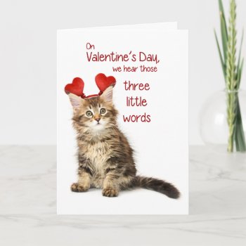 Funny Kitten Valentine Holiday Card by lamessegee at Zazzle