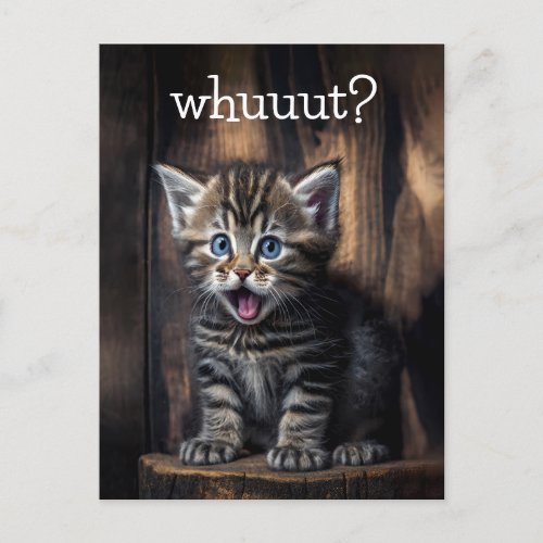 Funny Kitten _ whuuut Postcard