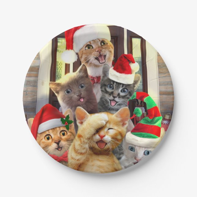 Funny kittens in Christmas Day Paper Plates (Front)