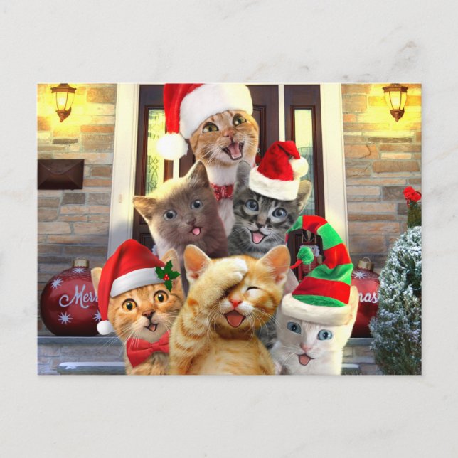 Funny kittens in Christmas Day Postcard (Front)