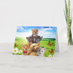 Funny kittens in green field. card