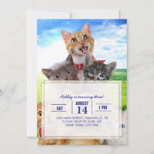 Funny kittens in green field. invitation