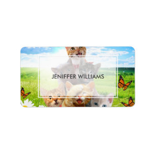Funny kittens in green field. label