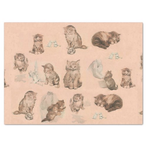 FUNNY KITTY CAT STORIES IN PINK TISSUE PAPER