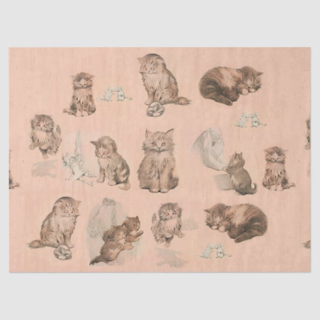 FUNNY KITTY CAT STORIES IN PINK TISSUE PAPER (Front)