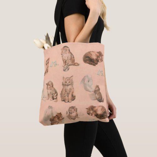 FUNNY KITTY CAT STORIES IN PINK TOTE BAG