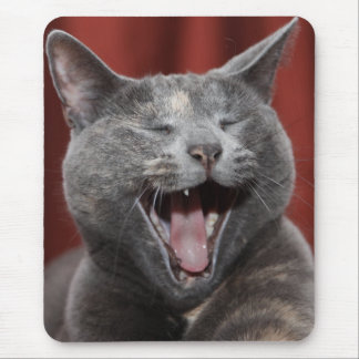 Funny kitty - Ready to eat the mouse! Mouse Pad