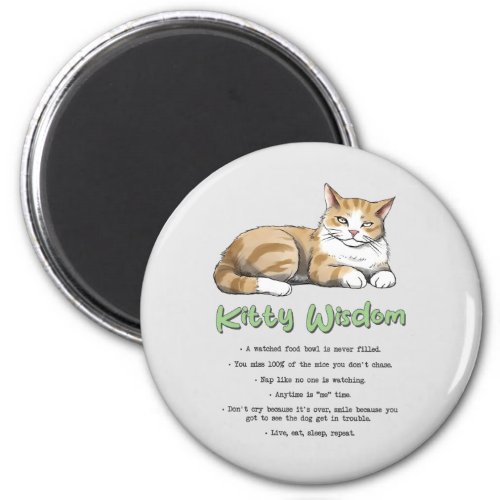 Funny Kitty Wisdom Magnet