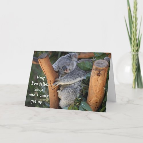 Funny Koala Bear Belated Birthday Card