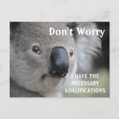 Funny Koala koalifications meme Postcard