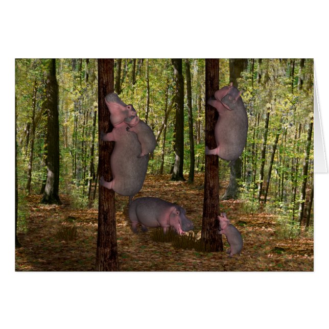 Funny Koala-Wannabe Hippos Cards (Front Horizontal)