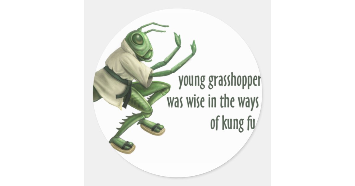 Funny Kung Fu Grasshopper Classic Round Sticker Zazzle Com