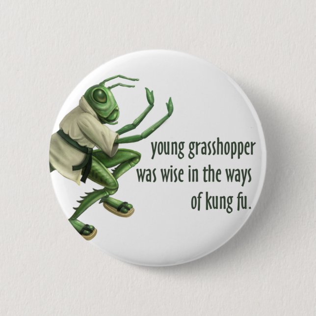 Funny Kung Fu Grasshopper Pinback Button (Front)