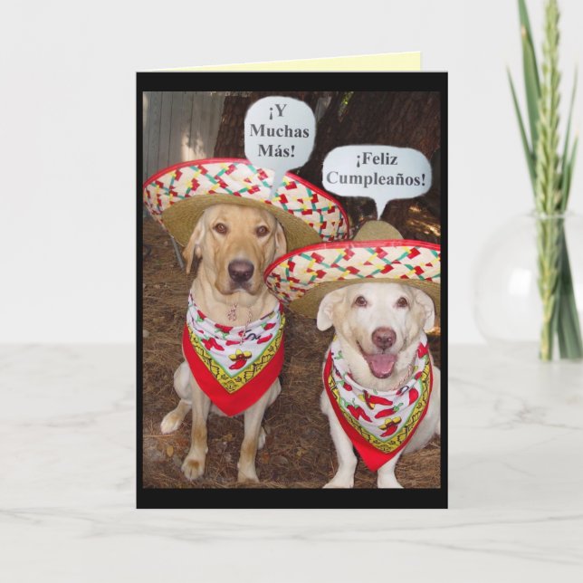 Funny Lab Birthday Card in Spanish (Front)
