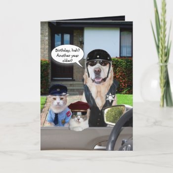 Funny Lab & Cat Officers Birthday Card by myrtieshuman at Zazzle