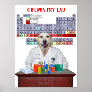 Funny Lab Chemistry Poster for Teachers