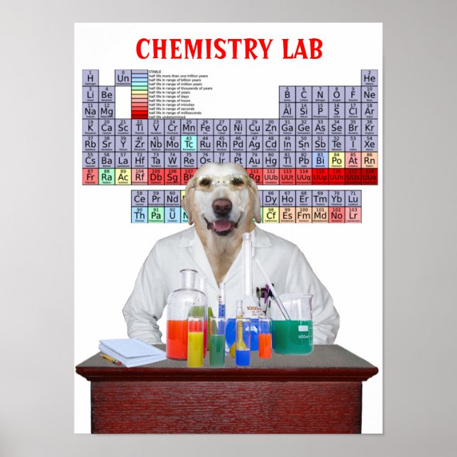 Funny Lab Chemistry Poster for Teachers (Front)