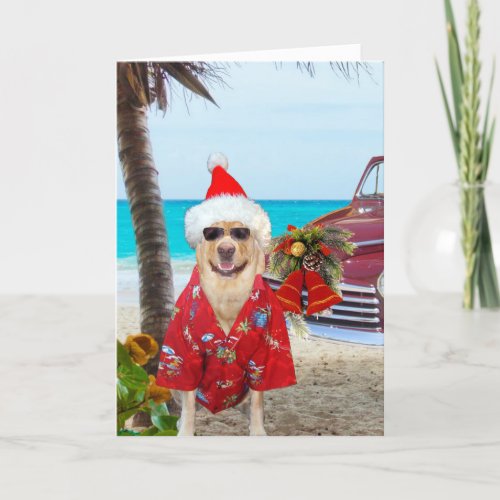 Funny LabDog HawaiianSurfer Christmas Holiday Card