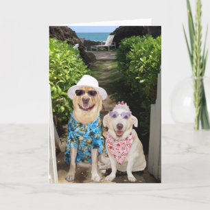 Funny Lab/Dog Valentine Holiday Card