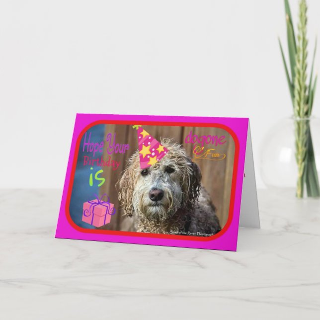 Funny Labradoodle happy birthday greeting card (Front)