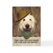 Funny Labradoodle In Cowboy Hat Bandana Get Well