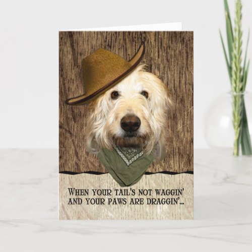 Funny Labradoodle In Cowboy Hat Bandana Get Well Card