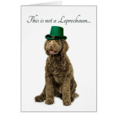 Funny Labradoodle Leprechaun Card (Front)
