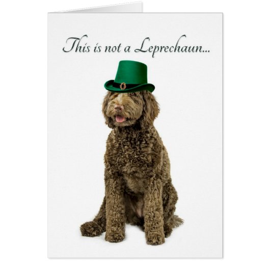 Funny Labradoodle Leprechaun Card (Front)