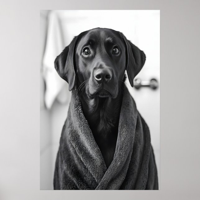 Funny Labrador Bathrobe Print, Bathroom Dog Art Poster (Front)