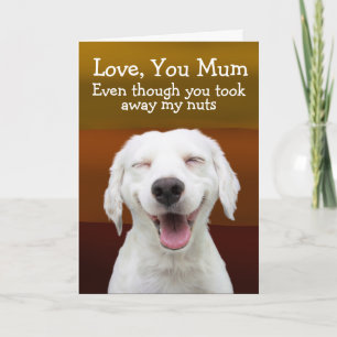 Funny labrador birthday card