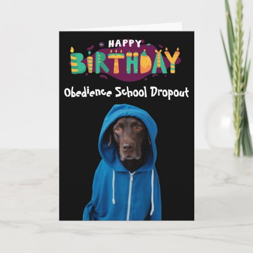 Funny Labrador dog birthday card